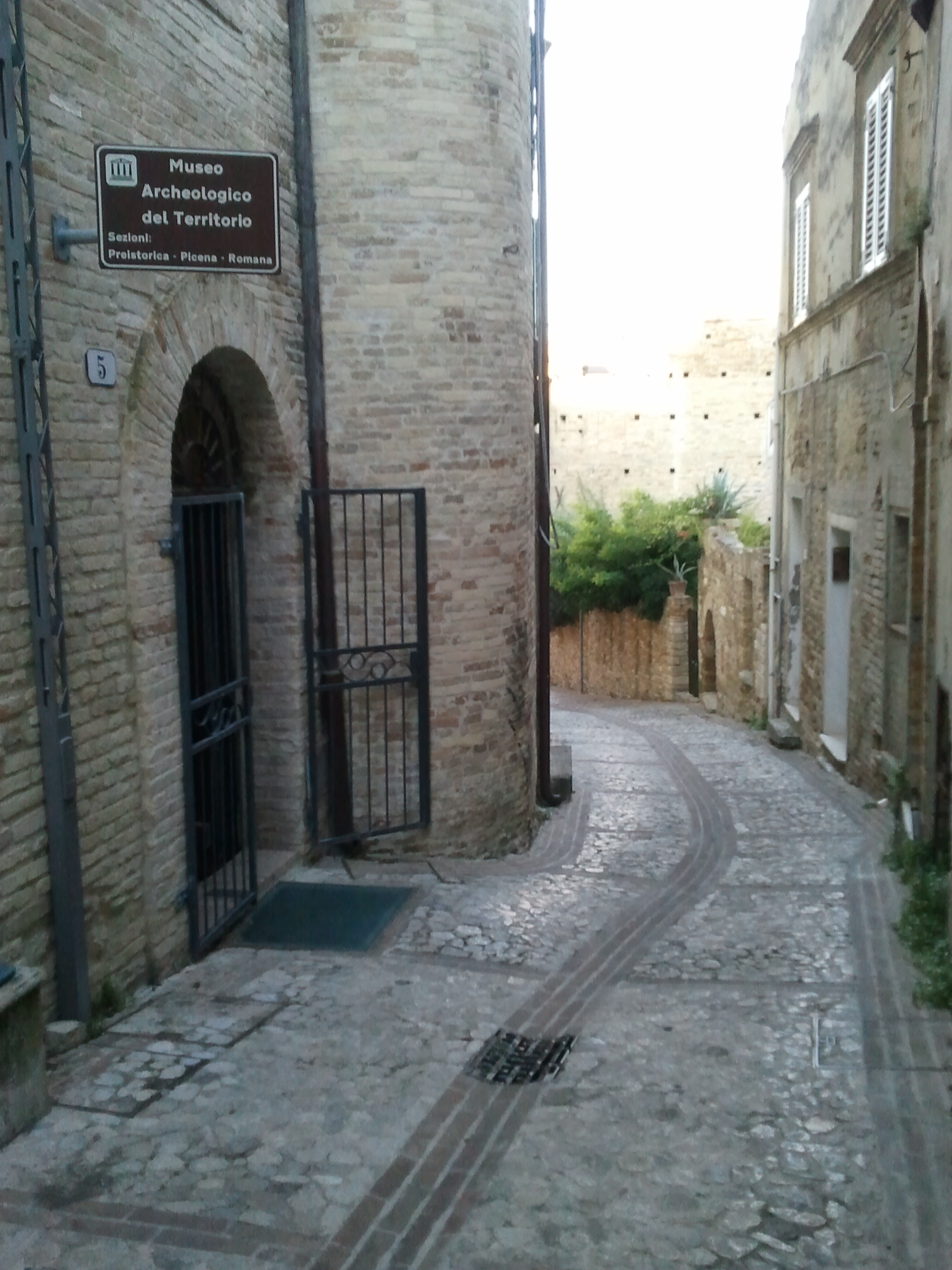 Museo Archeologico del territorio di Cupra Marittima: passato, presente e futuro.